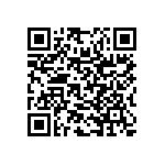 RNR55K2873FSBSL QRCode