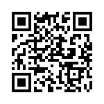 RP310024 QRCode