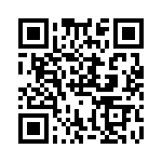 RPC2010JT4R30 QRCode