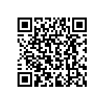 RPE5C1H3R0C2P1B03B QRCode