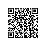 RPE5C1H3R3C2P1B03B QRCode