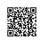 RPE5C2A6R2C2P1B03B QRCode