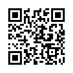 RSE120161 QRCode