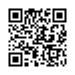 RSF12GT100R QRCode