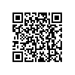 RT0805CRD0795R3L QRCode