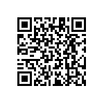 RT1206BRB0711K8L QRCode