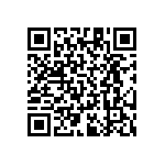 RT1206BRB07294RL QRCode