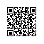 RT1206BRC07165KL QRCode