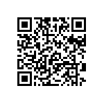 RT1206BRC07243RL QRCode