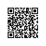 RT1206BRC0724R9L QRCode