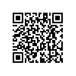 RT1206BRC07294KL QRCode