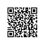 RT1206BRC0729R4L QRCode