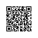 RT1206BRC07300KL QRCode