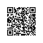 RT1206BRC07300RL QRCode