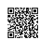 RT1206BRC07787KL QRCode