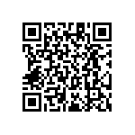 RT1206BRC07953RL QRCode