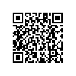 RT1206BRD071K13L QRCode