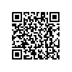 RT1206BRD07464KL QRCode