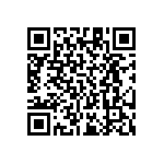 RT1206BRE0711K5L QRCode