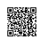 RT1206BRE0716K5L QRCode