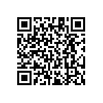 RT1206BRE0717K4L QRCode