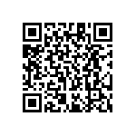 RT1206BRE071K13L QRCode