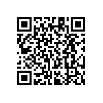 RT1206BRE0724K3L QRCode