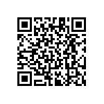 RT1206BRE0727R4L QRCode