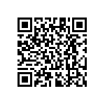 RT1206BRE07300KL QRCode