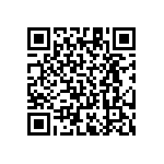 RT1206BRE07402RL QRCode