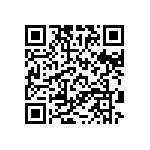 RT1206BRE07487KL QRCode