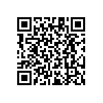 RT1206CRB0710K5L QRCode