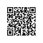 RT1206CRB07133KL QRCode