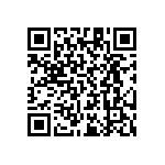 RT1206CRB0719K1L QRCode