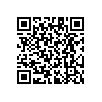 RT1206CRB07205RL QRCode