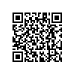 RT1206CRB07240KL QRCode