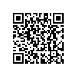 RT1206CRB07240RL QRCode