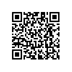 RT1206CRB0724RL QRCode