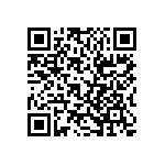 RT1206CRB0728RL QRCode