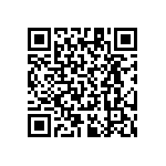 RT1206CRB07300RL QRCode