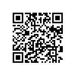 RT1206CRB07402RL QRCode