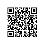 RT1206CRB07511RL QRCode