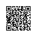 RT1206CRB0763K4L QRCode