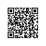 RT1206CRE0729R4L QRCode