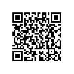 RT1206CRE07300KL QRCode