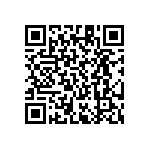 RT1206CRE07453KL QRCode