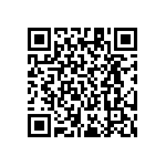 RT1206CRE07953KL QRCode