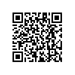 RT1206DRD07174KL QRCode