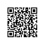 RT1206DRD0734K8L QRCode