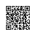 RT1206DRD073K16L QRCode